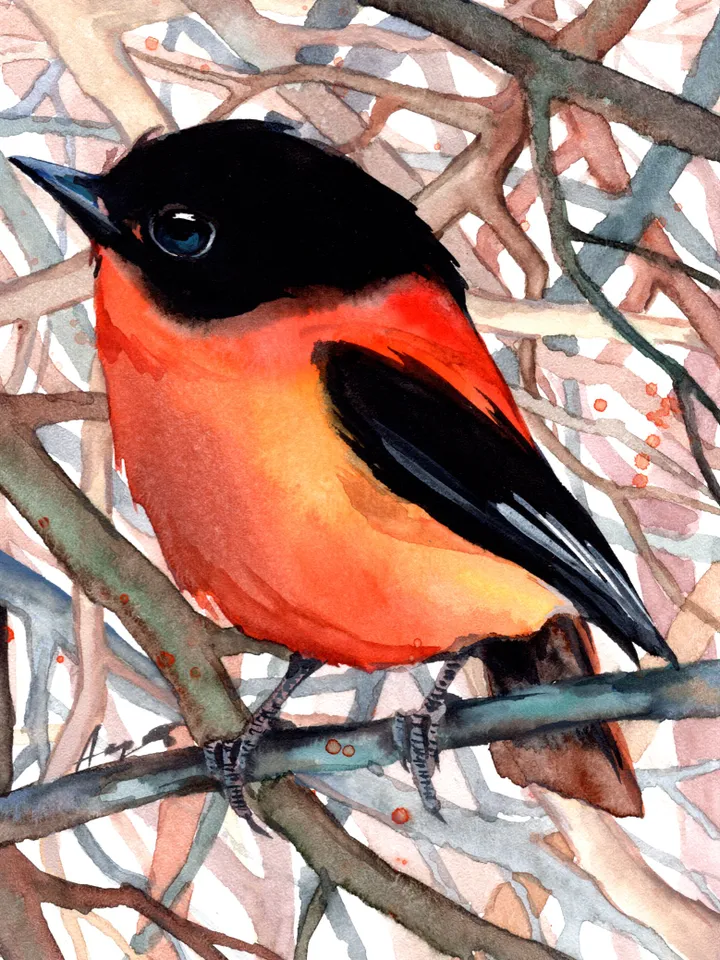 Flycatcher original watercolor, birds painting, handmade wall decor, 5x7 in art for bird lovers by Anne Gorywine