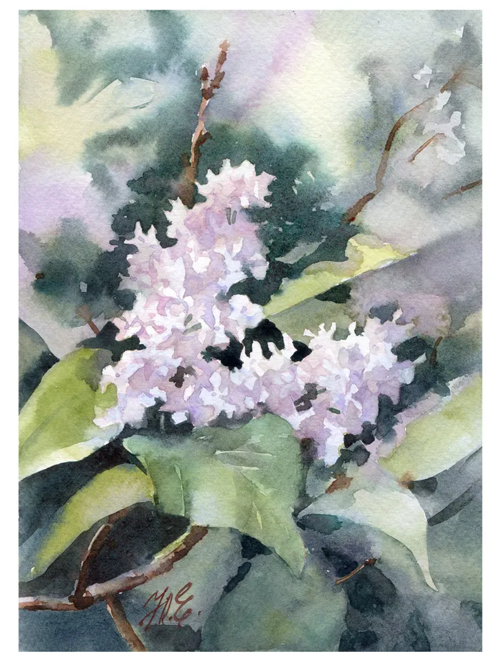 White flowering branch of Lilac Painting Original watercolor art by Yulia Evsyukova
