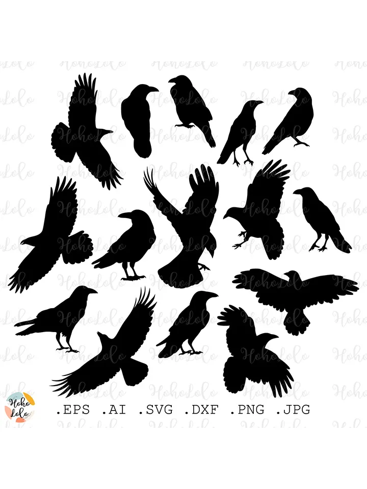 Raven Svg, Crow Silhouette, Raven Cricut, Raven Template Dxf, Crow Clipart Png