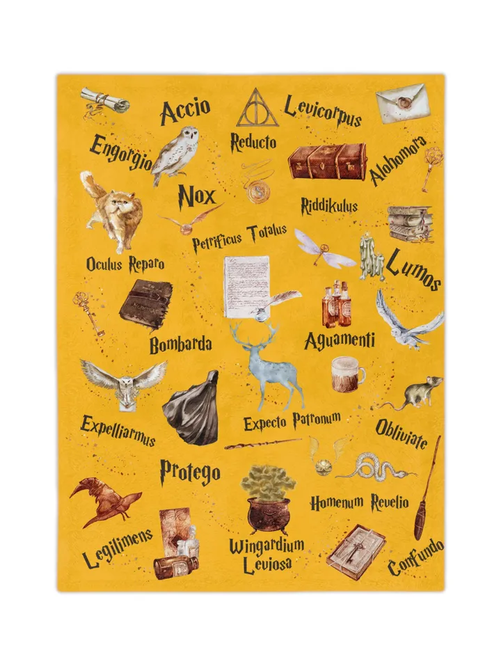 Wizarding World Baby Blanket; Magic School Baby Fleece Blanket Owl Key Magic World Custom Wizard Blanket Gift for Baby Minky Blanket WBB12