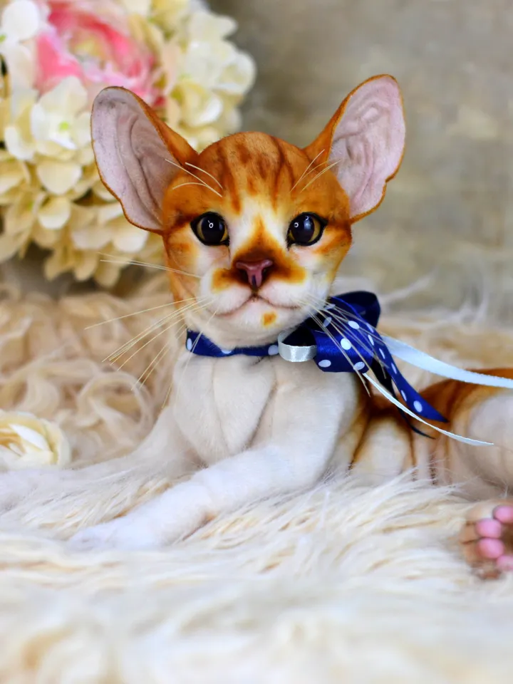 Realistic Stuffed Cat Toy - Portrait of a Domestic Plush Toy - Stuffed Cat - OOAK - Kitty Aurora