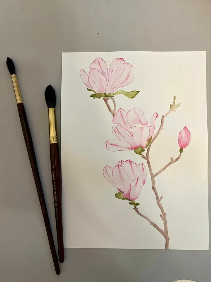 Pink magnolia flower art. Flowers painting classic watercolor paintings. Original watercolor painting.