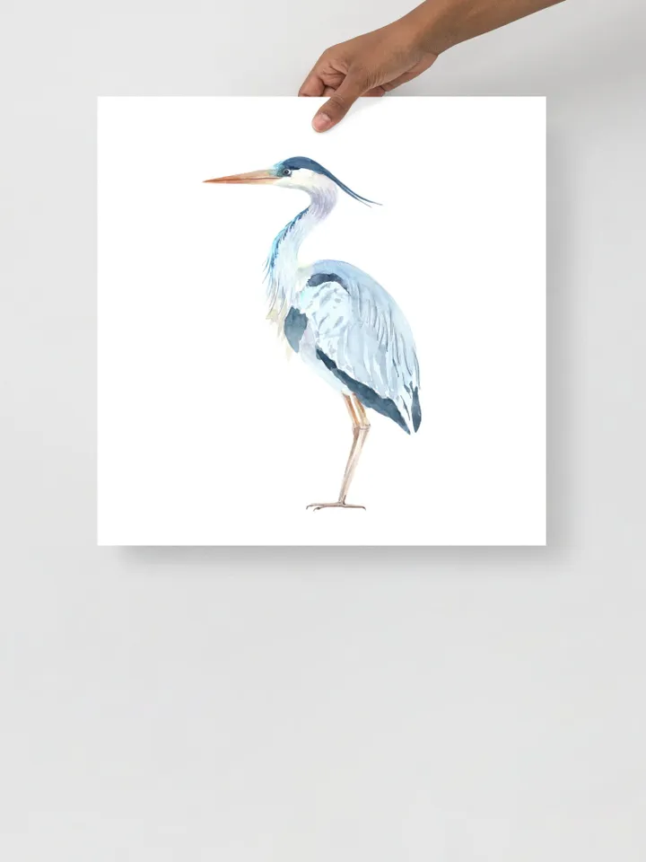 Blue Heron Set Of 2 Watercolor Painting, Bird Lover Gift, Beach House Art, Home Decor Gift, Bathroom Wall Decor, Great Heron Painting Print