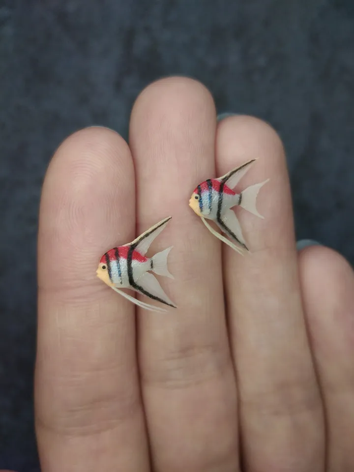 Set of miniature Manacapuru angelfish, tiny fish for diorama, dollhouse or resin art