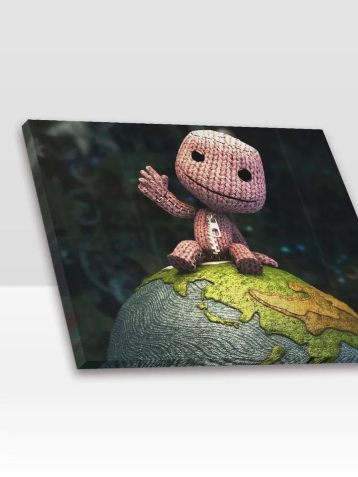 LittleBigPlanet Frame Canvas Print