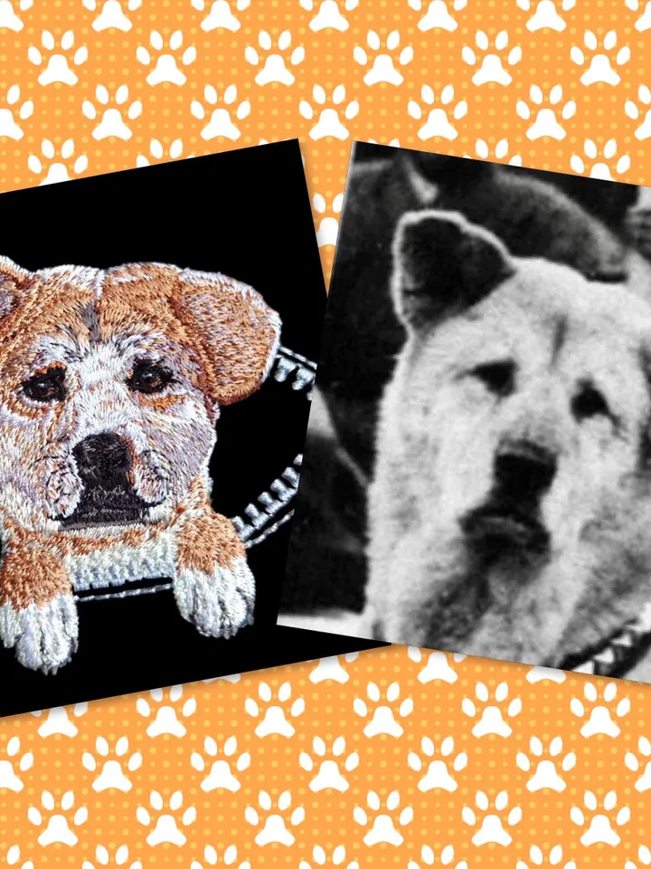 Hachiko in a zipper pocket Miniature realistic machine embroidery design Pet dog realistic pattern puppy embroidery motif