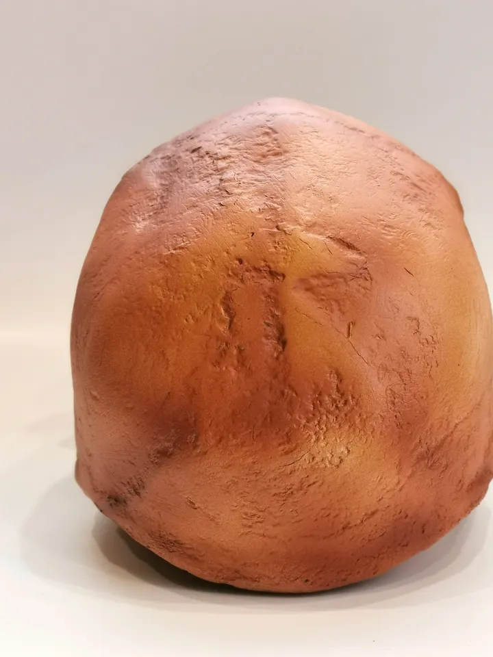 Homo Heidelbergensis Rhodesian Man Skull Replica, Prehistoric Fossil Collection, Realistic Hominid Skull, Museum Quality