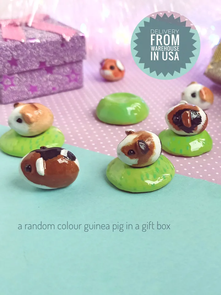 A guinea pig of random color from those shown (US discount)