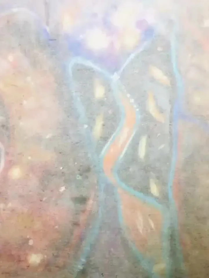 Mix media abstract painting,original pastel painting,butterfly painting,oil pastel painting,abstract wall art,colourful pastel painting.