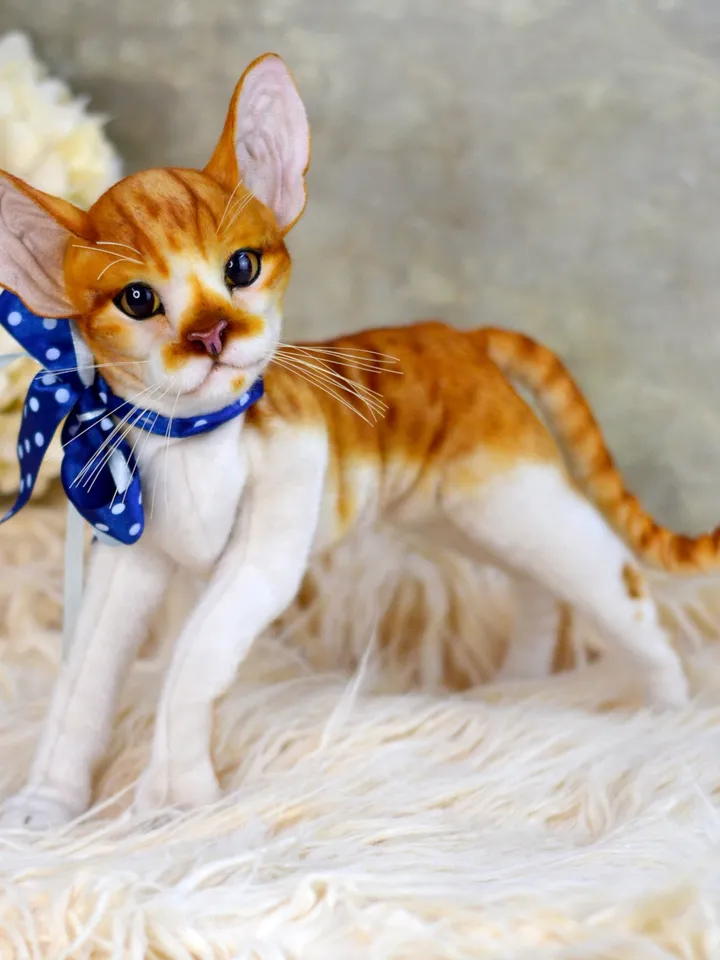 Realistic Stuffed Cat Toy - Portrait of a Domestic Plush Toy - Stuffed Cat - OOAK - Kitty Aurora