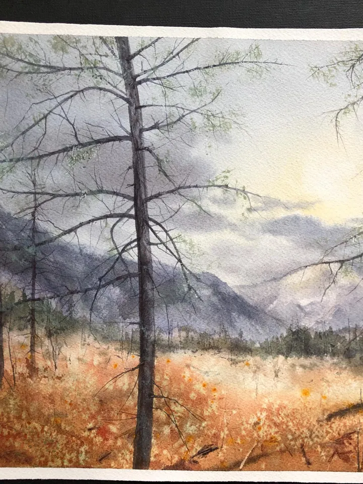 Forest Original Painting Trees Watercolor Wall Art Landscape