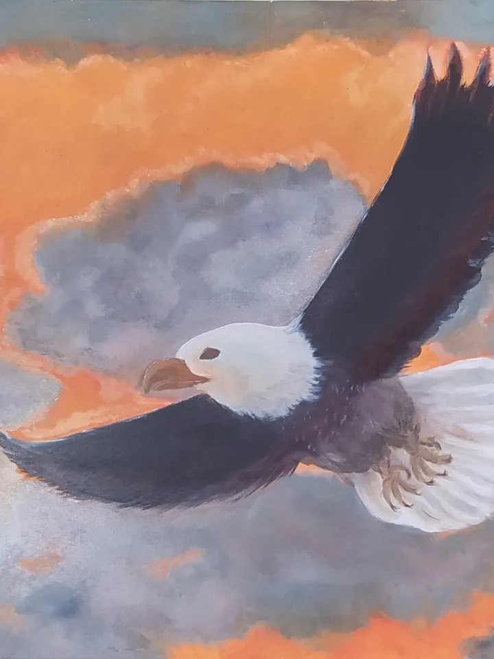 Oil painting "Bald Eagle", canvas on a stretcher, 16*20 inches (40*50 cm)
