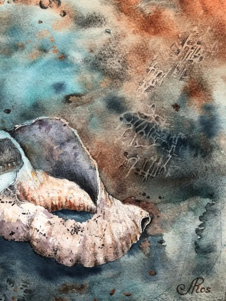 Original Watercolor Painting Seashells Wall Art Sea shell Painting