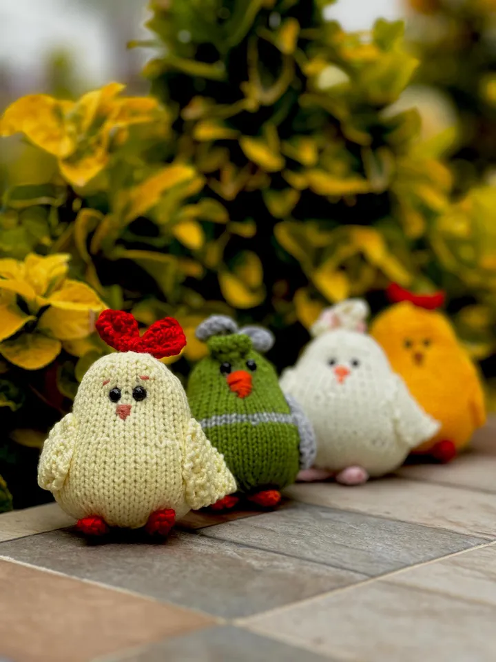PDF Chicken Knitting Pattern, Knitted Toy Tutorial, Knitted Animal Pattern, Chick