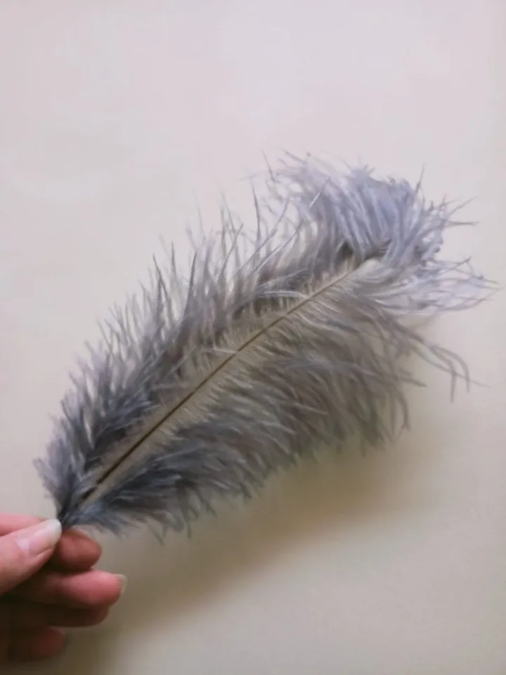 natural feather wings, angel wings, ostrich wings, angel wings