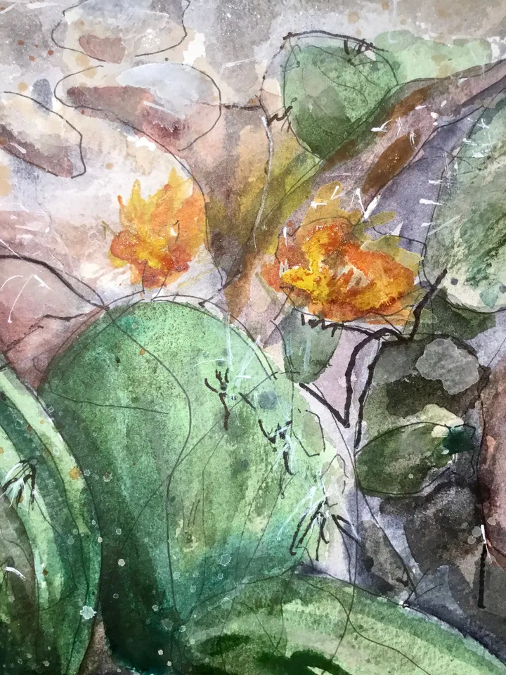 Cactus flower,original watercolour mix media painting on watercolour paper,original and prints available.