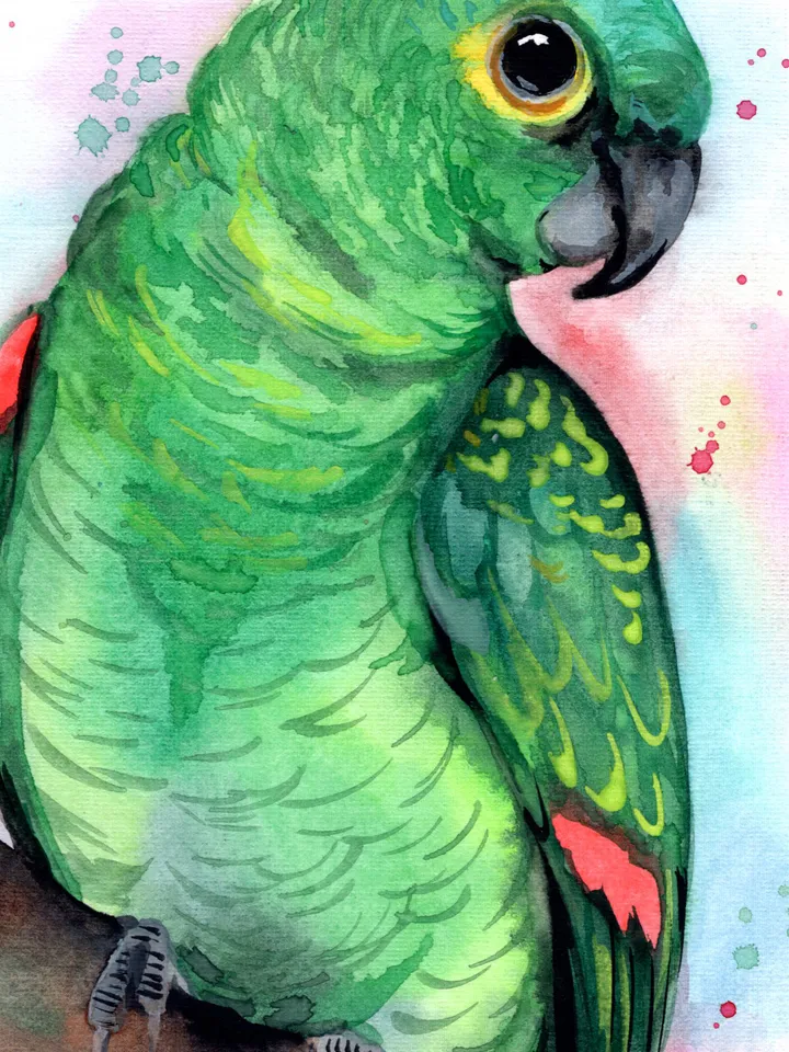 Green Parrot Bird Watercolour, bird painting, wall decor, birds lover gift, 8x11 in handmade art by Anne Gorywine