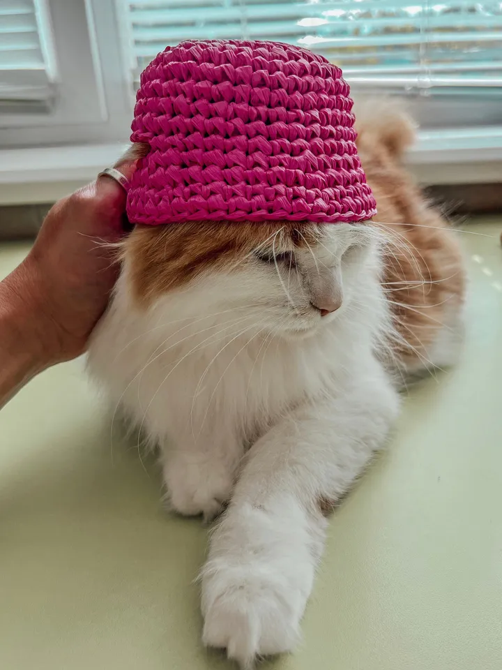 Pets bucket hat crochet pattern PDF, digital instant download, video tutorial, hat for cats and small dogs, kalush orchestra, pink hat