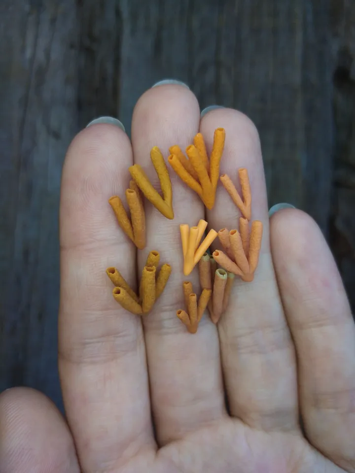 Set of miniature corals shades of orange, tiny corals for diorama, dollhouse or resin art