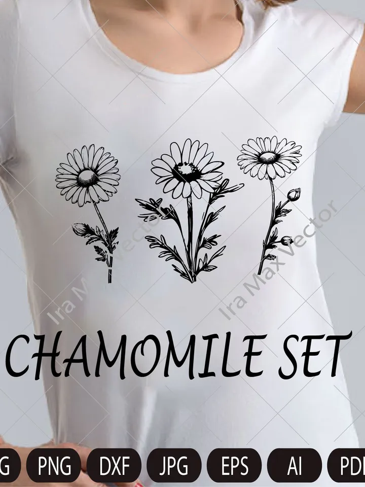 Chamomile Flowers Clip Art, Chamomile PNG, Floral Clipart, Herbal Clip Art, Wildflower, Wedding Invitation, Detailed Floral Illustration