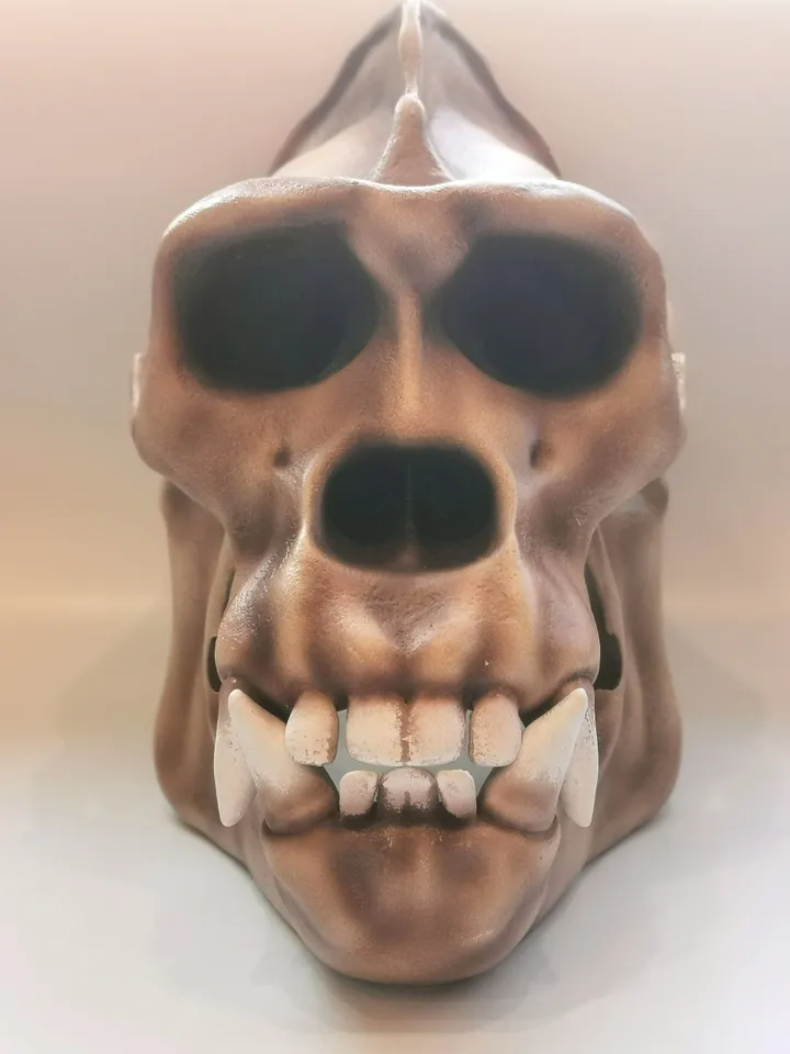 Gorilla Skull, Monkey Skull, Animal Skull Replica, Anthropology Primate Model