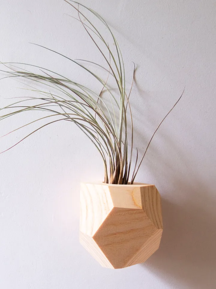 Set of 4 Hemlock Geometric Air Plant Holder
