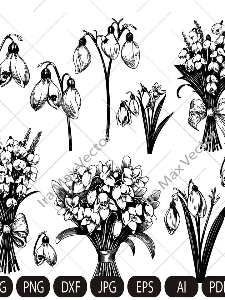 Snowdrop Svg, Snowdrop Flower, Flower Outline Svg, Floral Coloring Page Svg, Snowdrop Clipart, Birth Flower Svg, Snowdrop Cut File, Png, Dxf