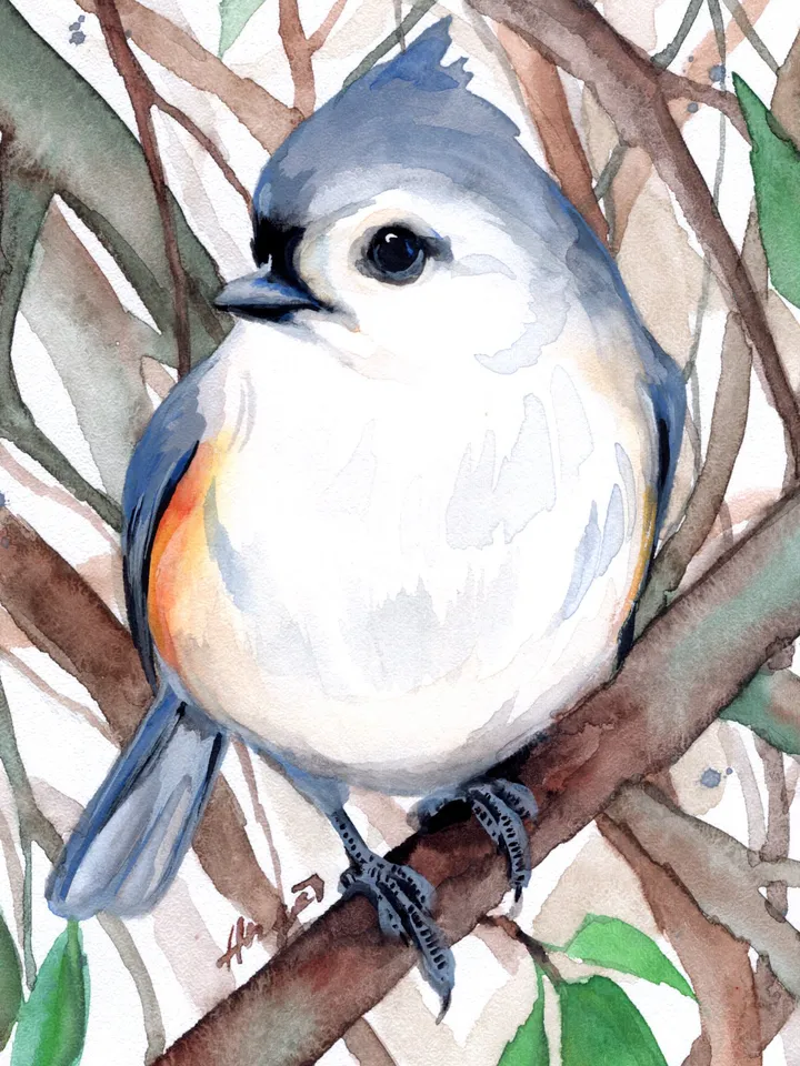 Titmouse Original watercolor, bird painting, wall decor, birds lover gift, 8x11 in handmade art by Anne Gorywine