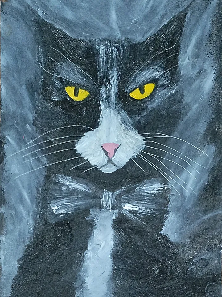 Black cat