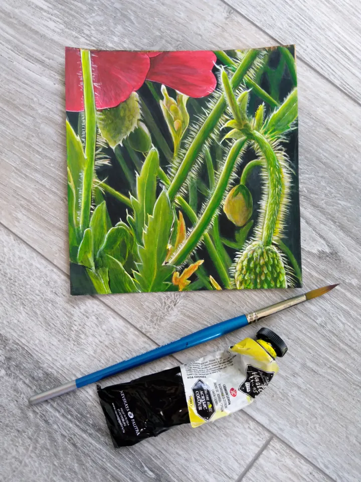 Poppies