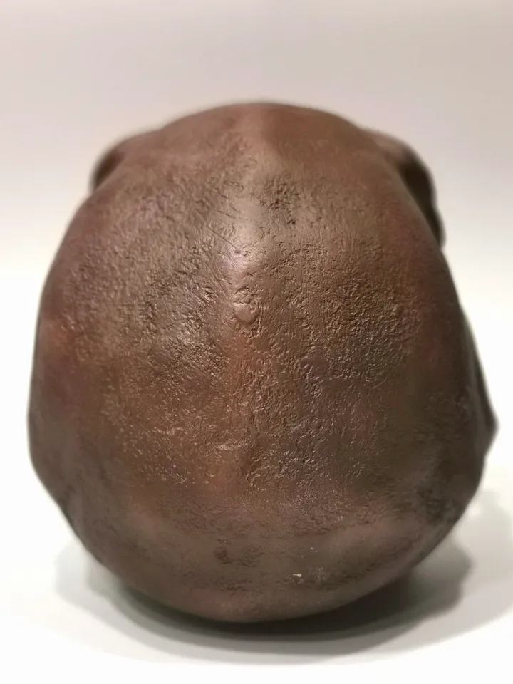 Homo Erectus Pekinensis Skull Replica, Prehistoric Fossil Collection, Realistic Hominid Skull, Museum Quality