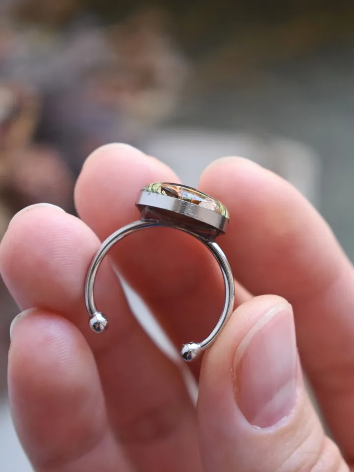 Real mushroom ring. Ring with a real mushroom in resin. Adjustable Mushroom glade ring.