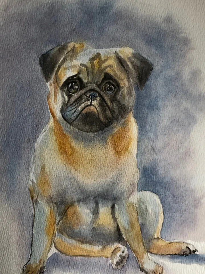 Cute dog pet portrait painting living room wall art original watercolour hand painted modern painting