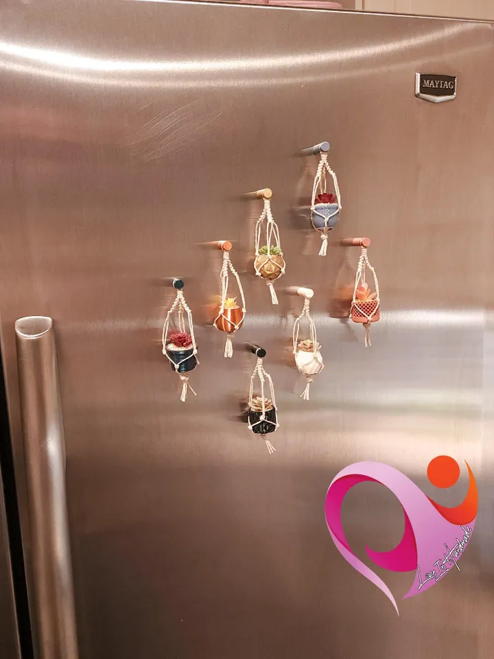 Mini Plant Magnet Tiny Macrame Succulent Hanging Locker Magnet Unique Gift Plant Lover Kitchen Decor Cute Fridge Magnet Gift Under 10