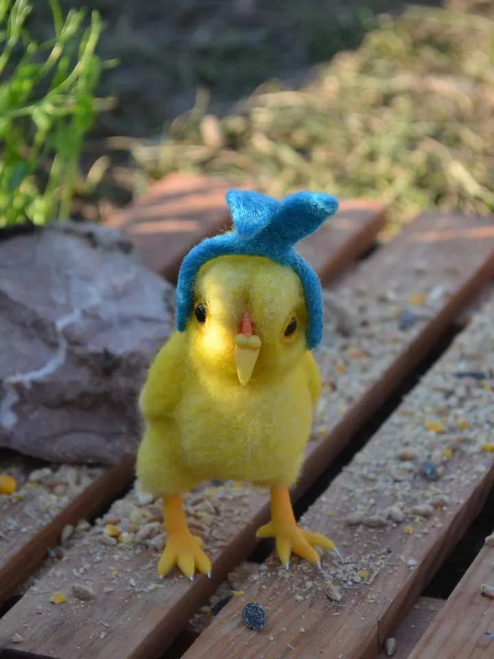 Chicken