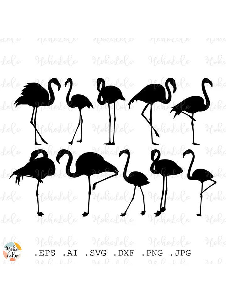 Flamingo Svg, Flamingo Silhouette, Flamingo Cricut, Flamingo Download, Flamingo Template Png, Flamingo Clipart Png