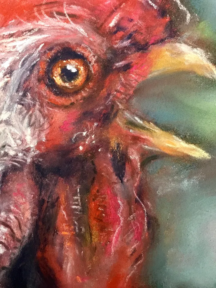 Red rooster original soft pastel painting on cardboard,funny animals pastel art,small painting gift,kitchen wall decoration.