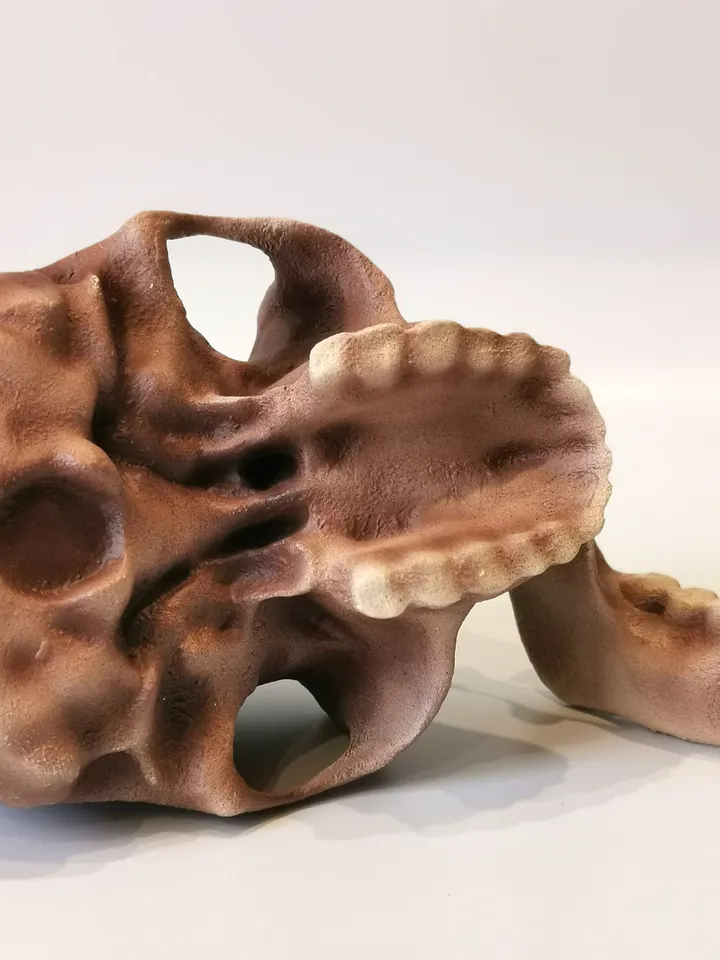 Homo Habilis Skull Replica, Prehistoric Fossil Collection, Realistic Hominid Skull