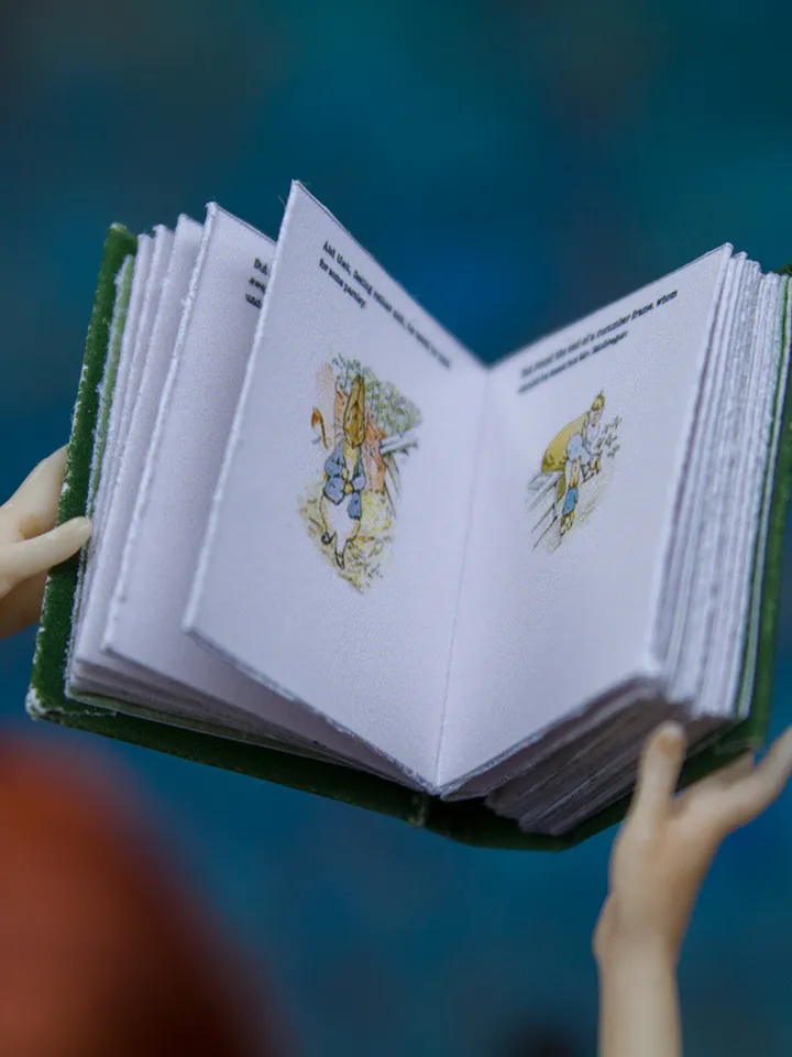 TEMPLATE The tale of Peter Rabbit miniature book