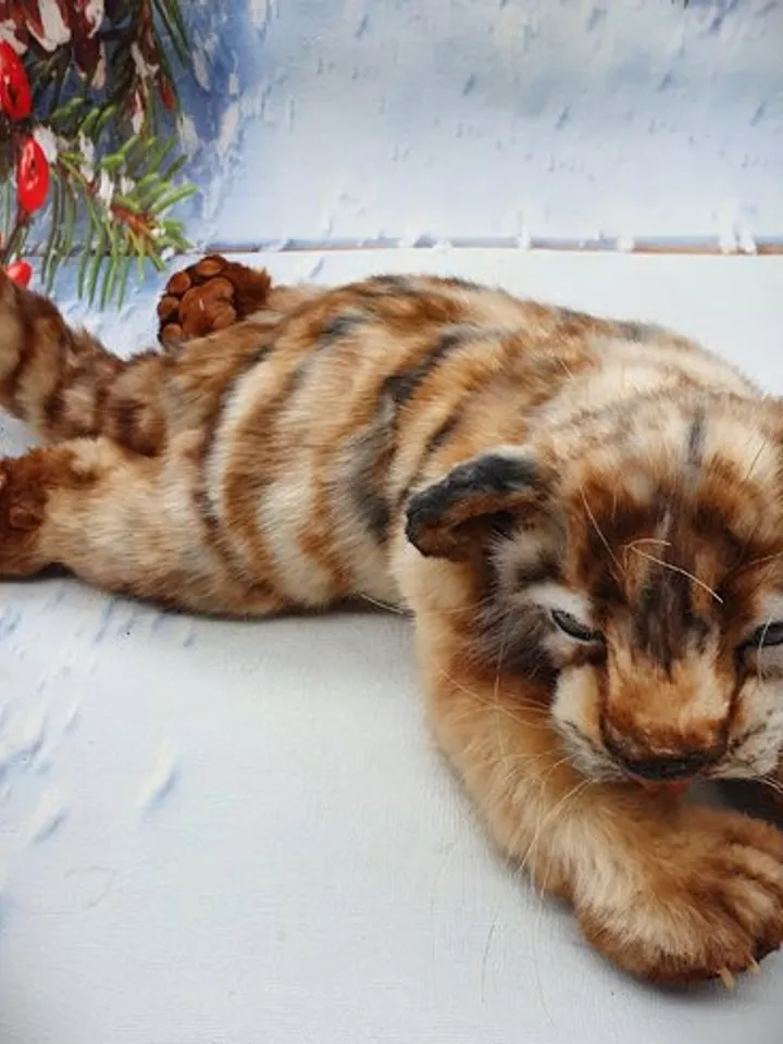 Sewing PATTERN Tiger CubToy-Collectible Toy - Posing Toy- Tiger Toy-Stuffed Animal