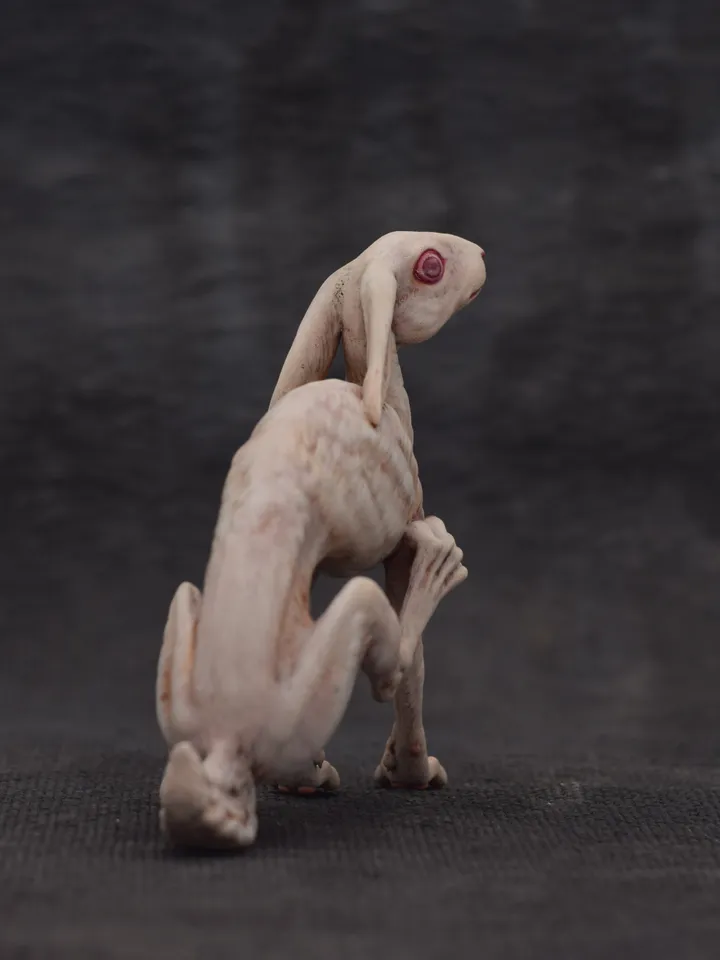 White rabbit