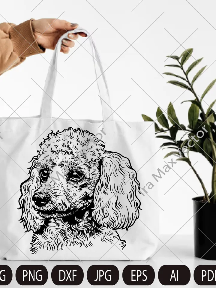 Toy Poodle Svg, Toy Poodle Clipart, Poodle Png, Poodle Head, Poodle Cut Files, Poodle Silhouette, Dog toy Silhouette