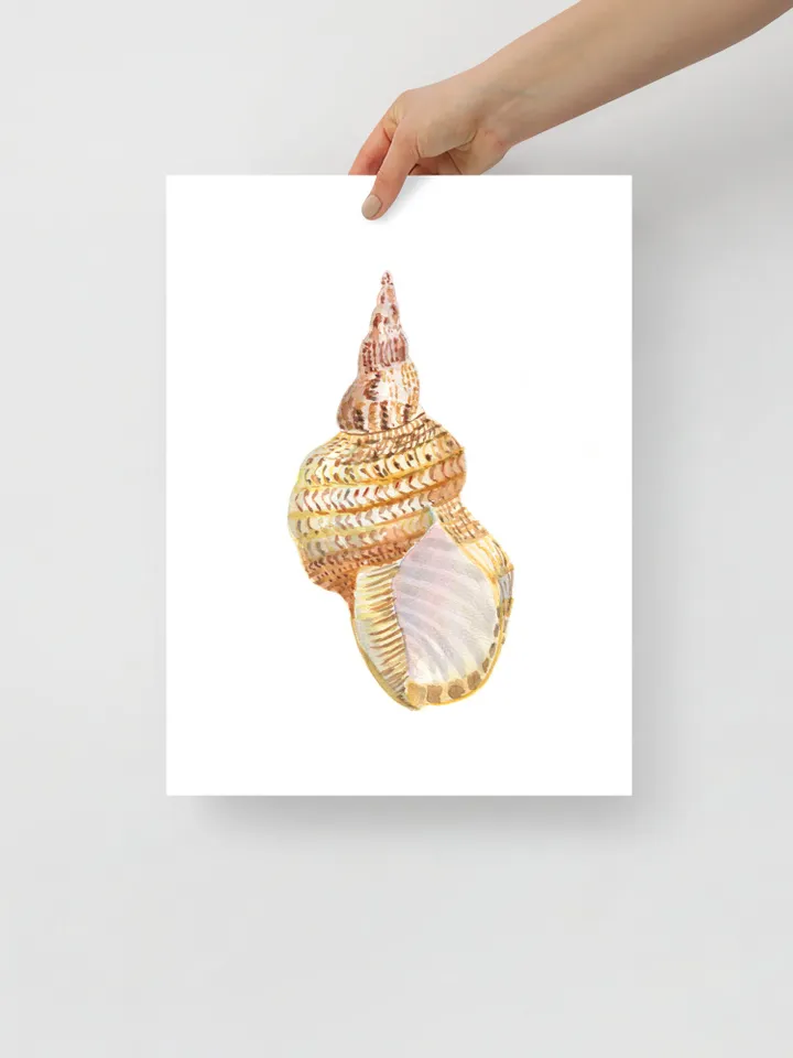 Shell art  Sea Shell Art Shell Decor Beach Cottage Art Sea Shells Painting Marine Aqua Beach House Art Beach Art Marine Aqua