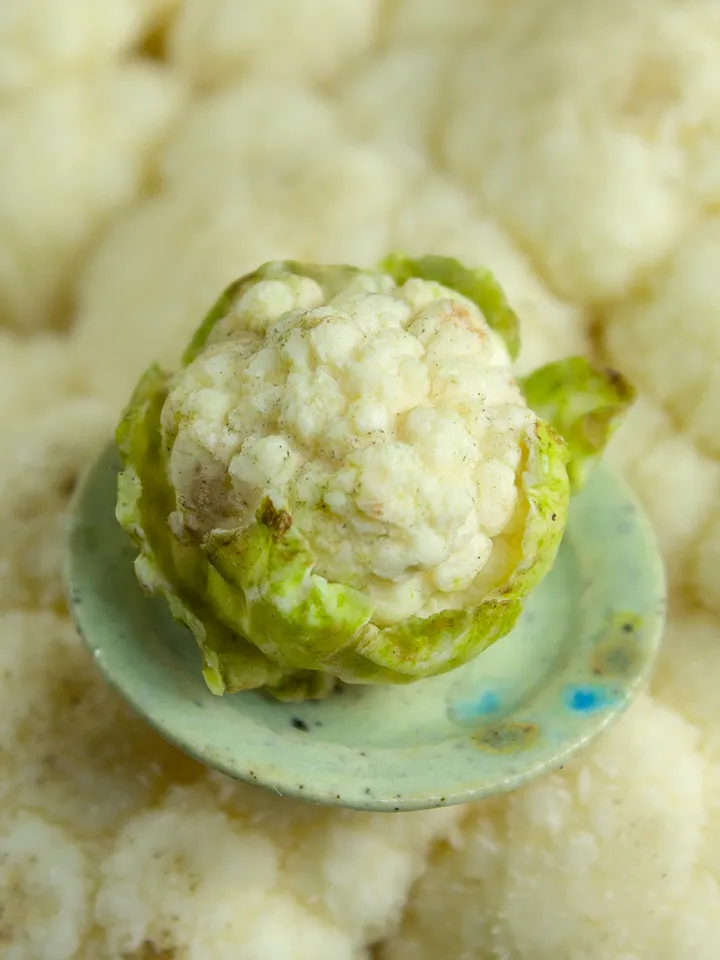 TUTORIAL Miniature cauliflower with polymer clay