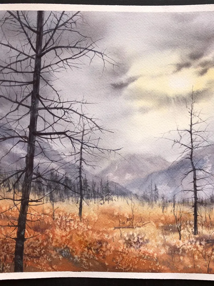 Forest Original Painting Landscape Trees Painting Field Wall Art