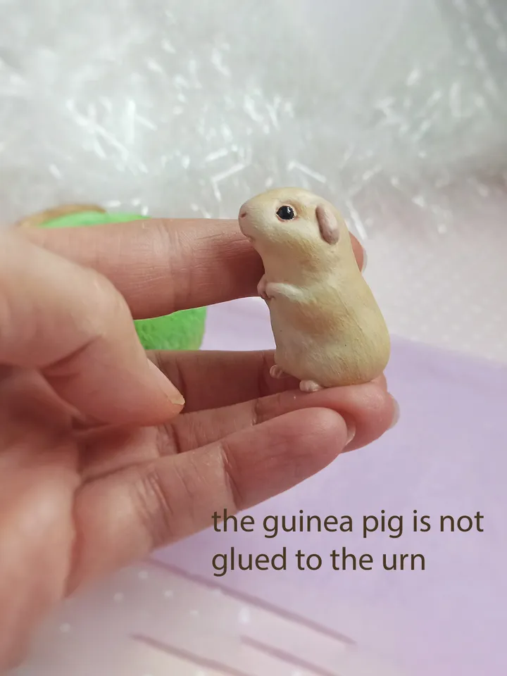 a Guinea pig ashes small URN (US discount)