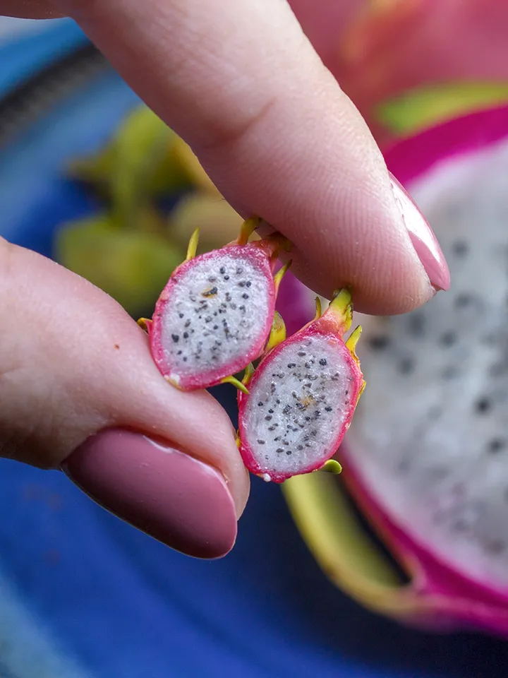 TUTORIAL Miniature pitaya or dragon fruit with polymer clay