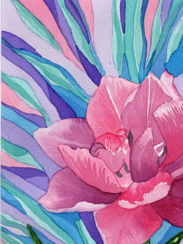 The tulip has bloomed