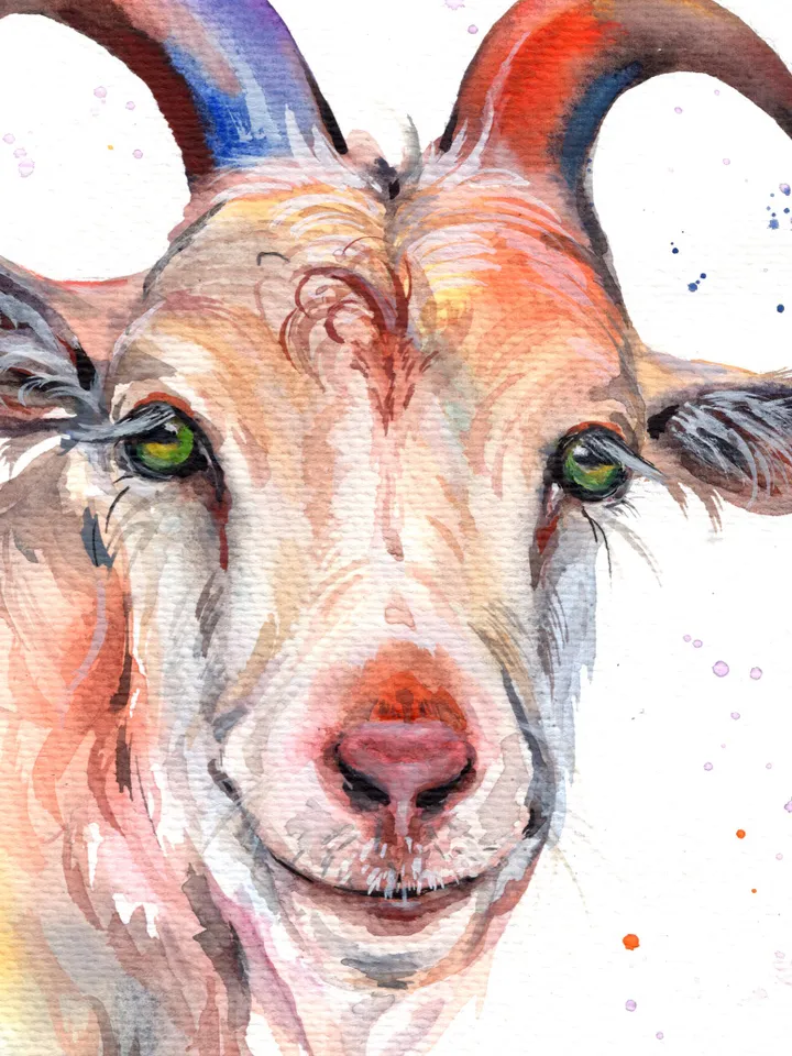 Goat original watercolor, animals painting, wall decor, 7x10 in art for animal lovers by Anne Gorywine