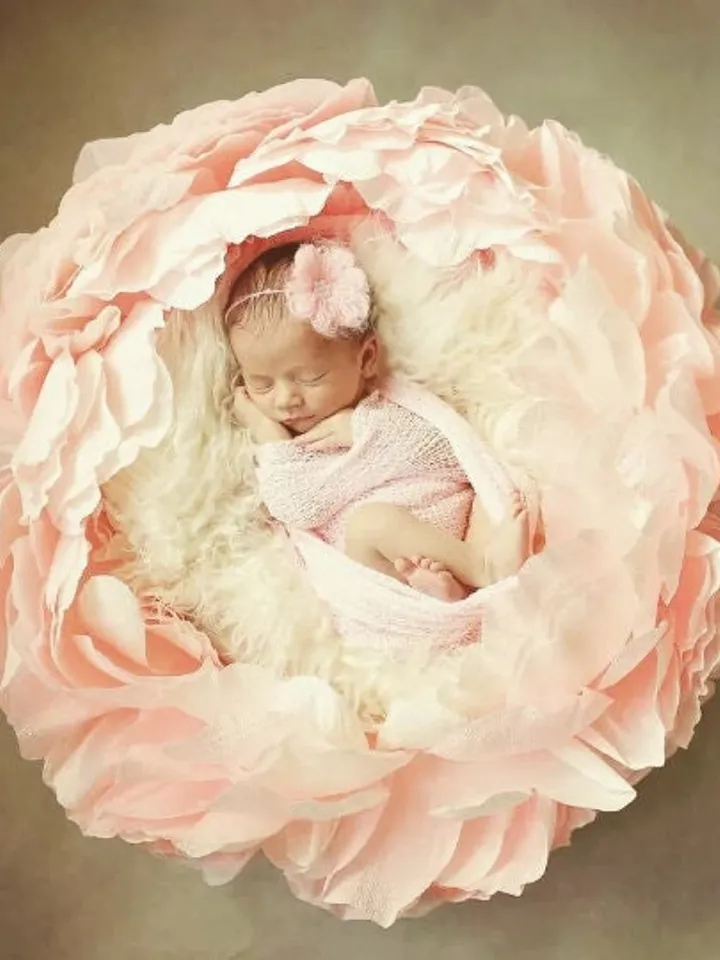 Giant Flower Newborn Baby Photography Props Children Props newborn Newborn Photo Prop Props newborns newborn props girl